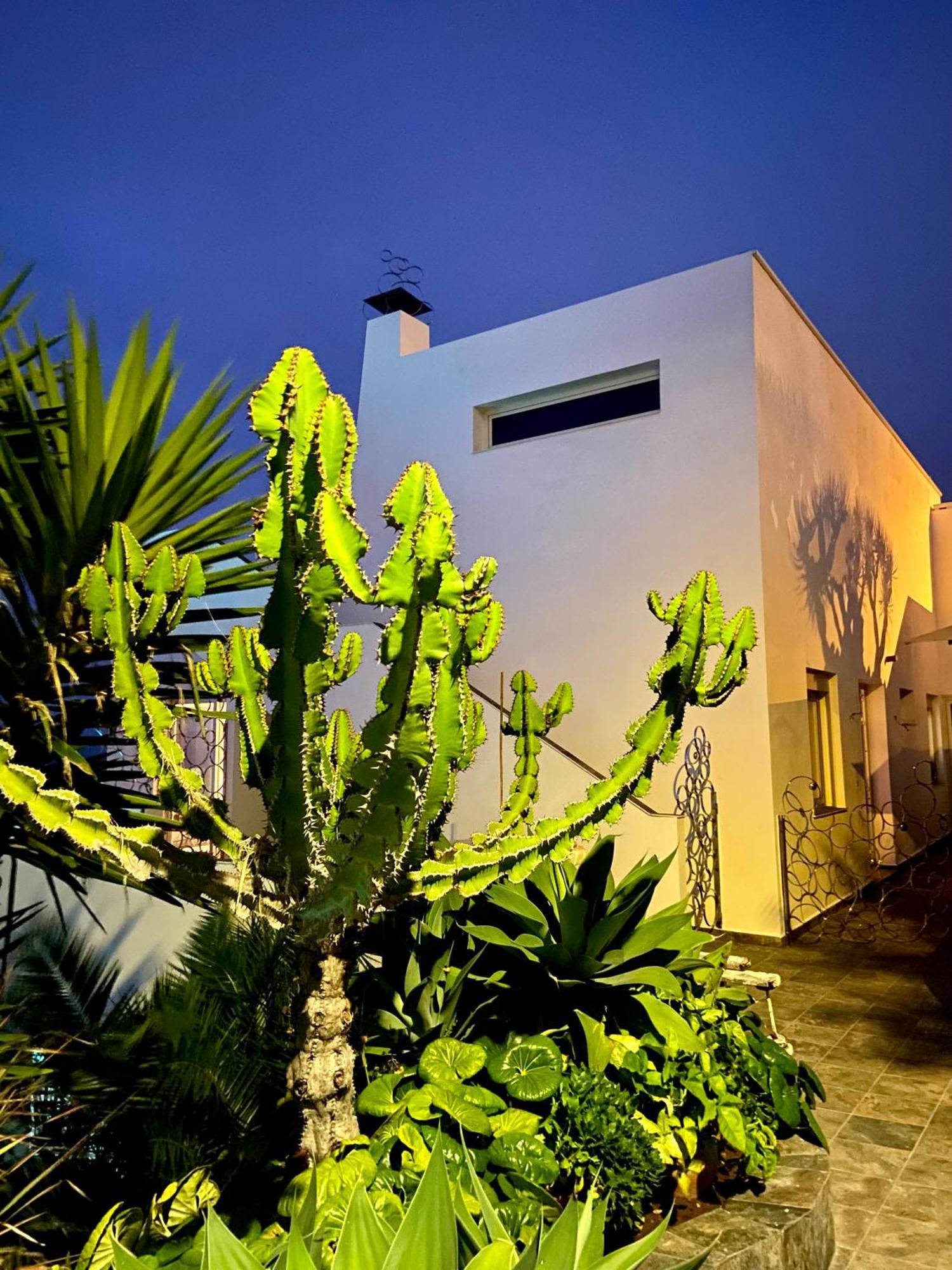 Villa Oasis La Paz - Pelinor Studio - Adults Only Puerto de la Cruz  Luaran gambar