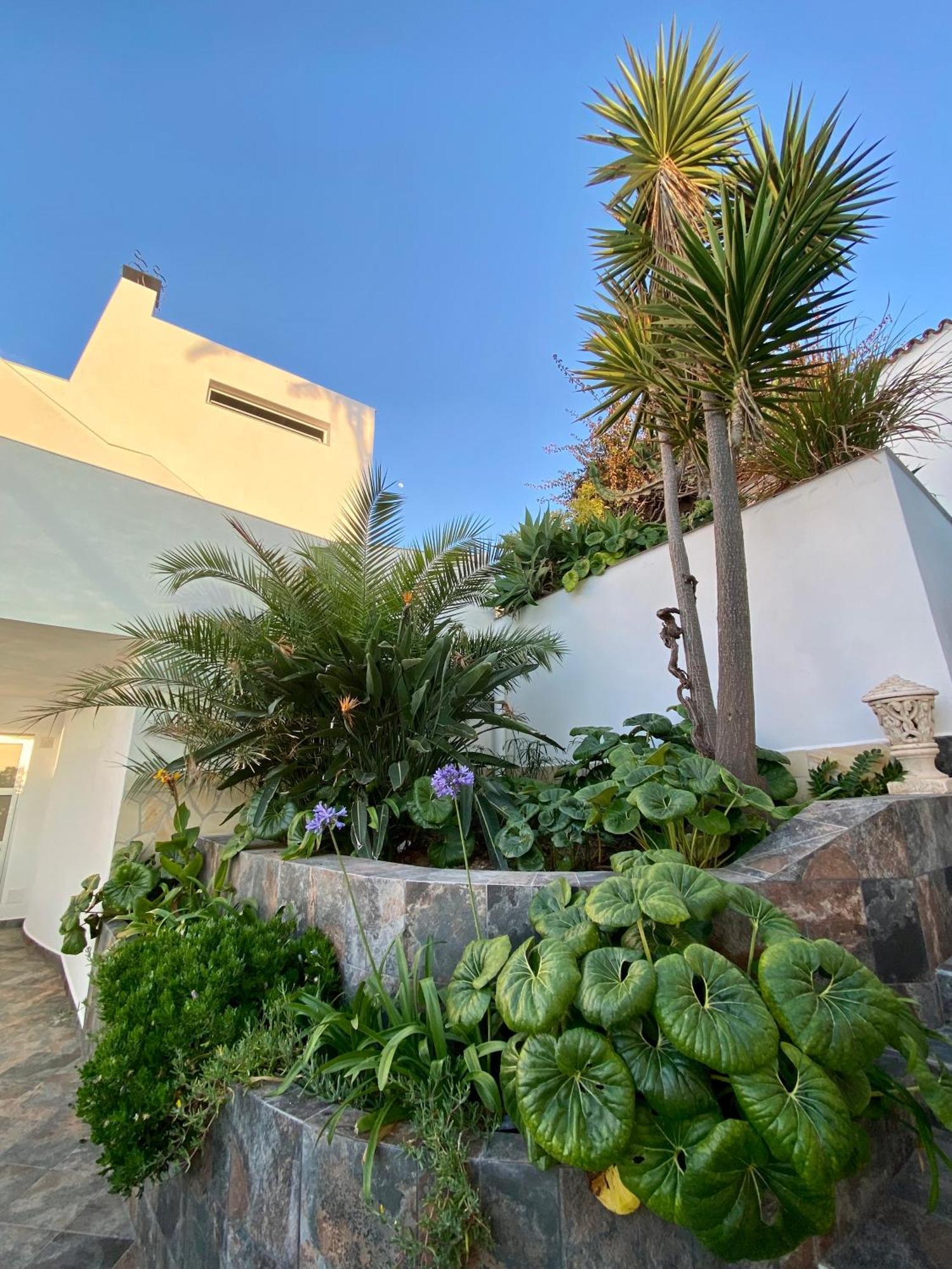 Villa Oasis La Paz - Pelinor Studio - Adults Only Puerto de la Cruz  Luaran gambar